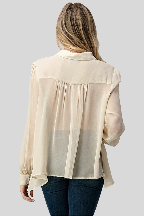Sheer High-Low Blouse with Jewel Trim